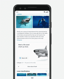 busqueda google realidad aumentada tiburon